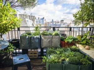 amenager son balcon et planter des plantes sur son balcon en été
