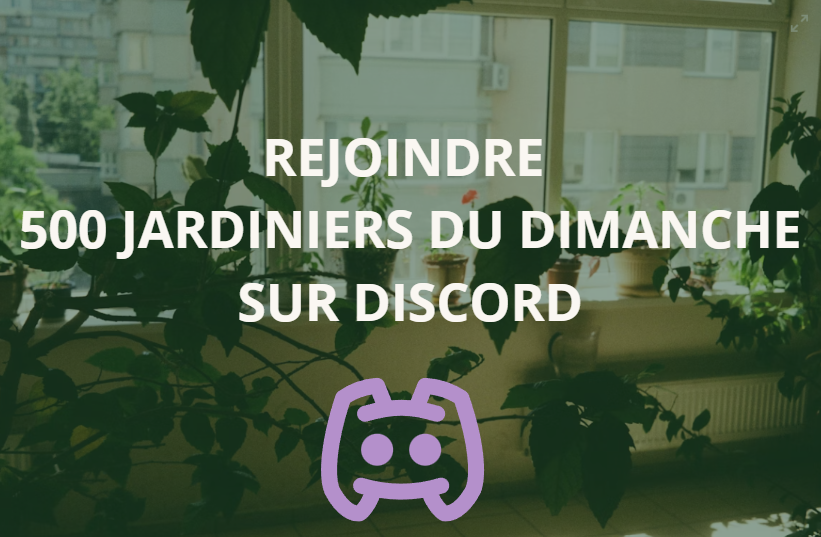 rejoindre plantosphere discord