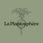 cropped cropped logo restaurant responsable minimaliste moderne vert 2.png