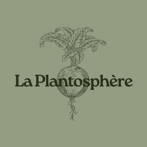 cropped cropped logo restaurant responsable minimaliste moderne vert 2.png